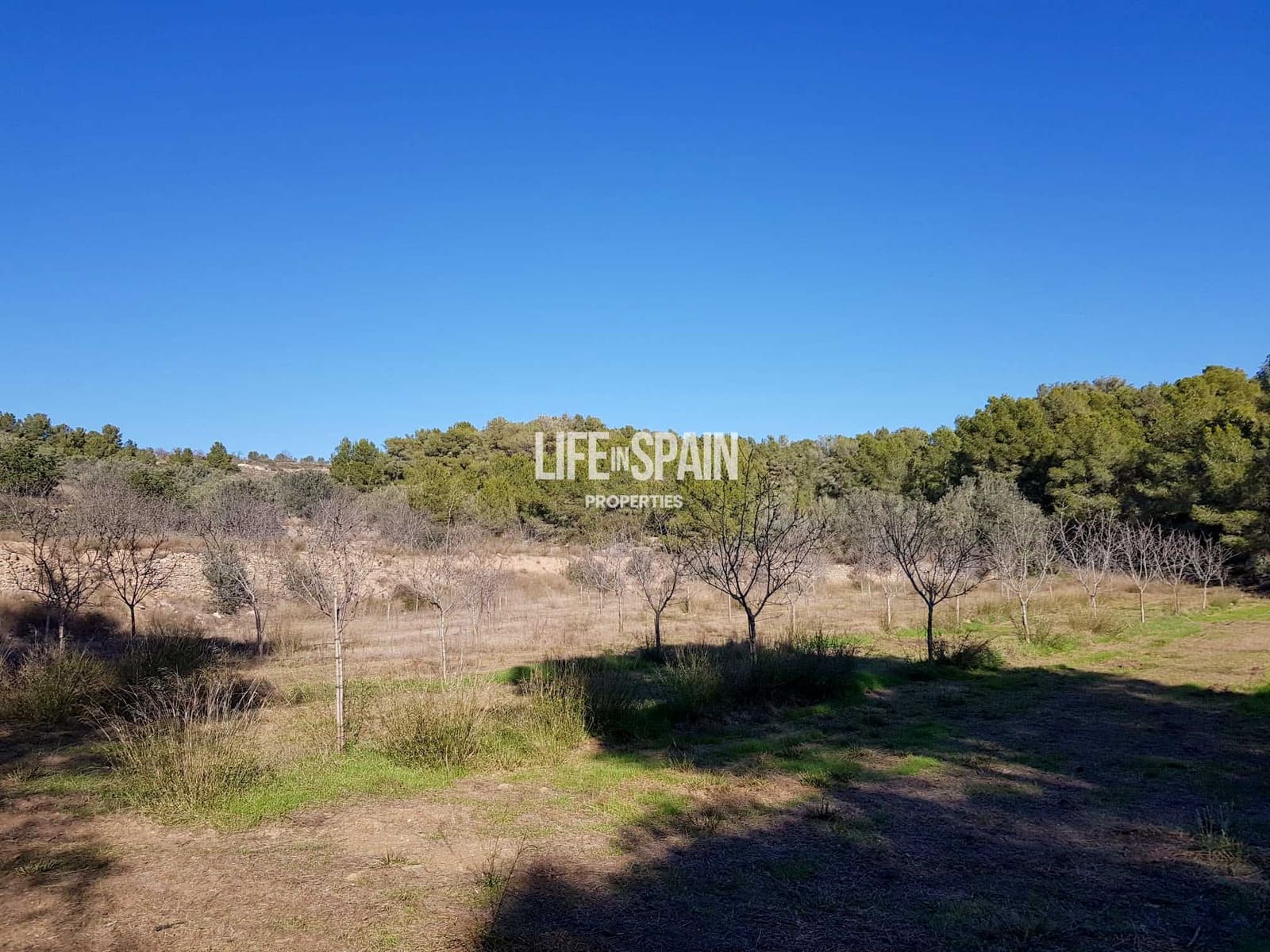 Finca/Casa Rural de 4 habitaciones en Miravet en venta - 310.000 € (Ref: 10167550)