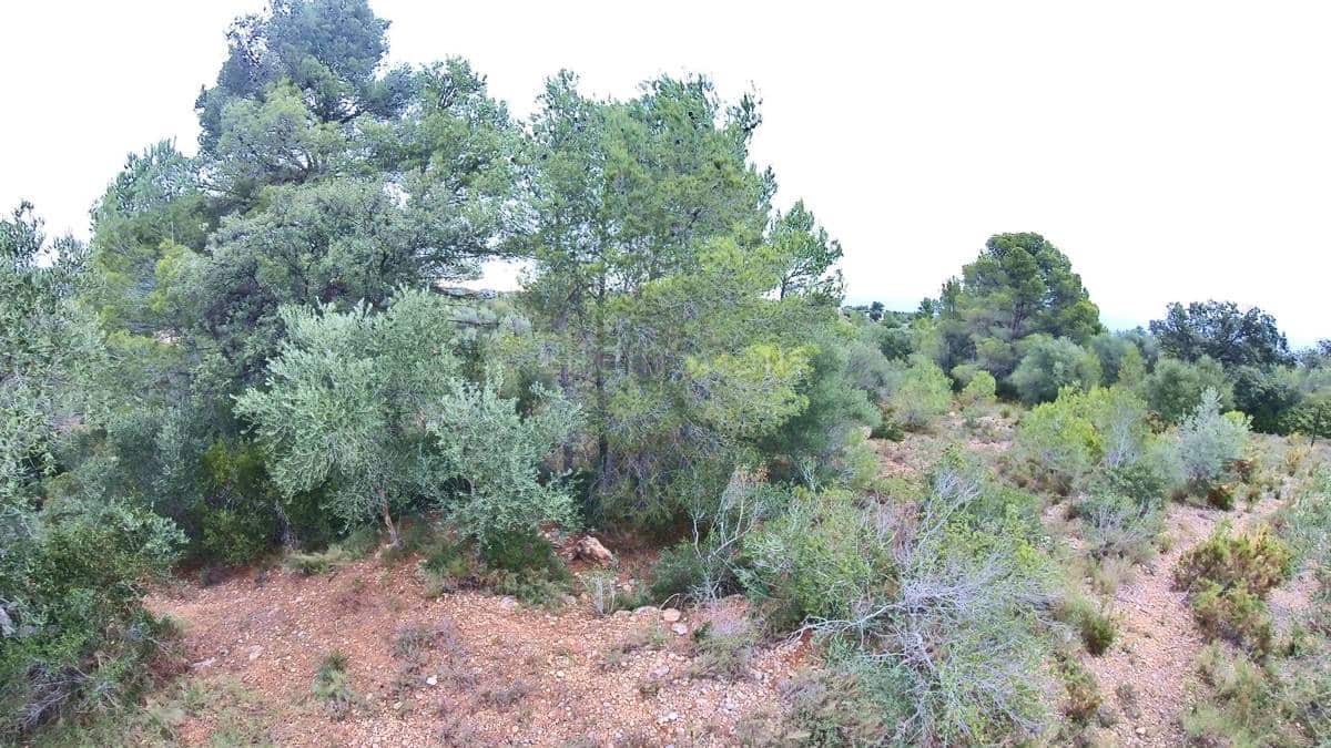 1 soveværelse Finca/Landehus til salg i Tortosa med swimmingpool garage - € 99.000 (Ref: 7635083)