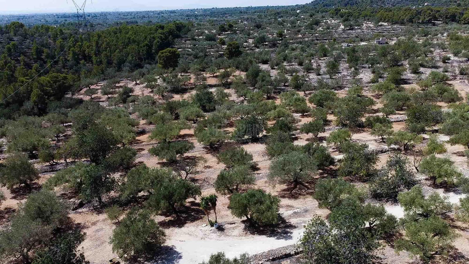 2 soveværelse Finca/Landehus til salg i L'Ampolla med garage - € 85.000 (Ref: 7635393)