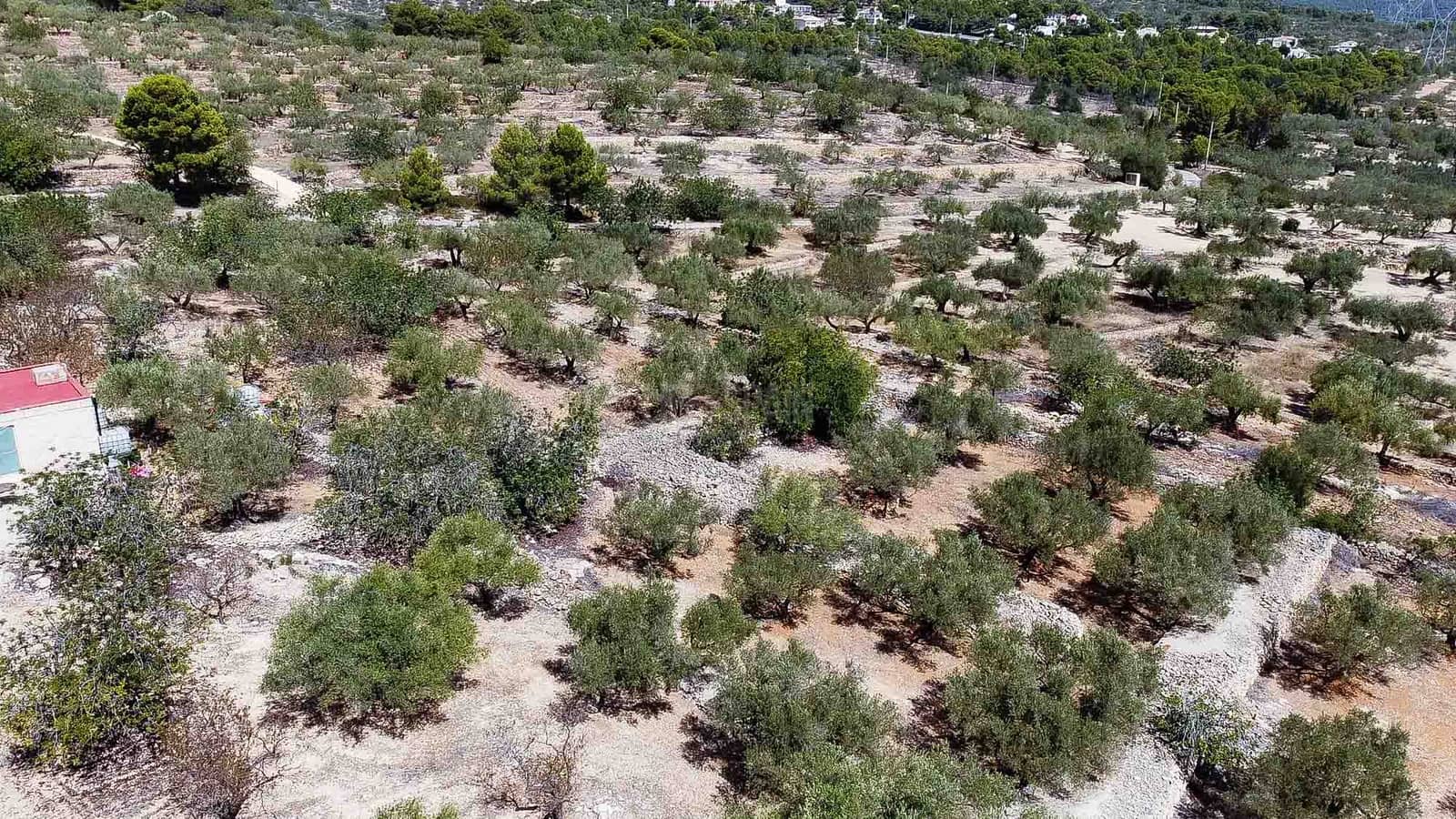 2 soveværelse Finca/Landehus til salg i L'Ampolla med garage - € 85.000 (Ref: 7635393)