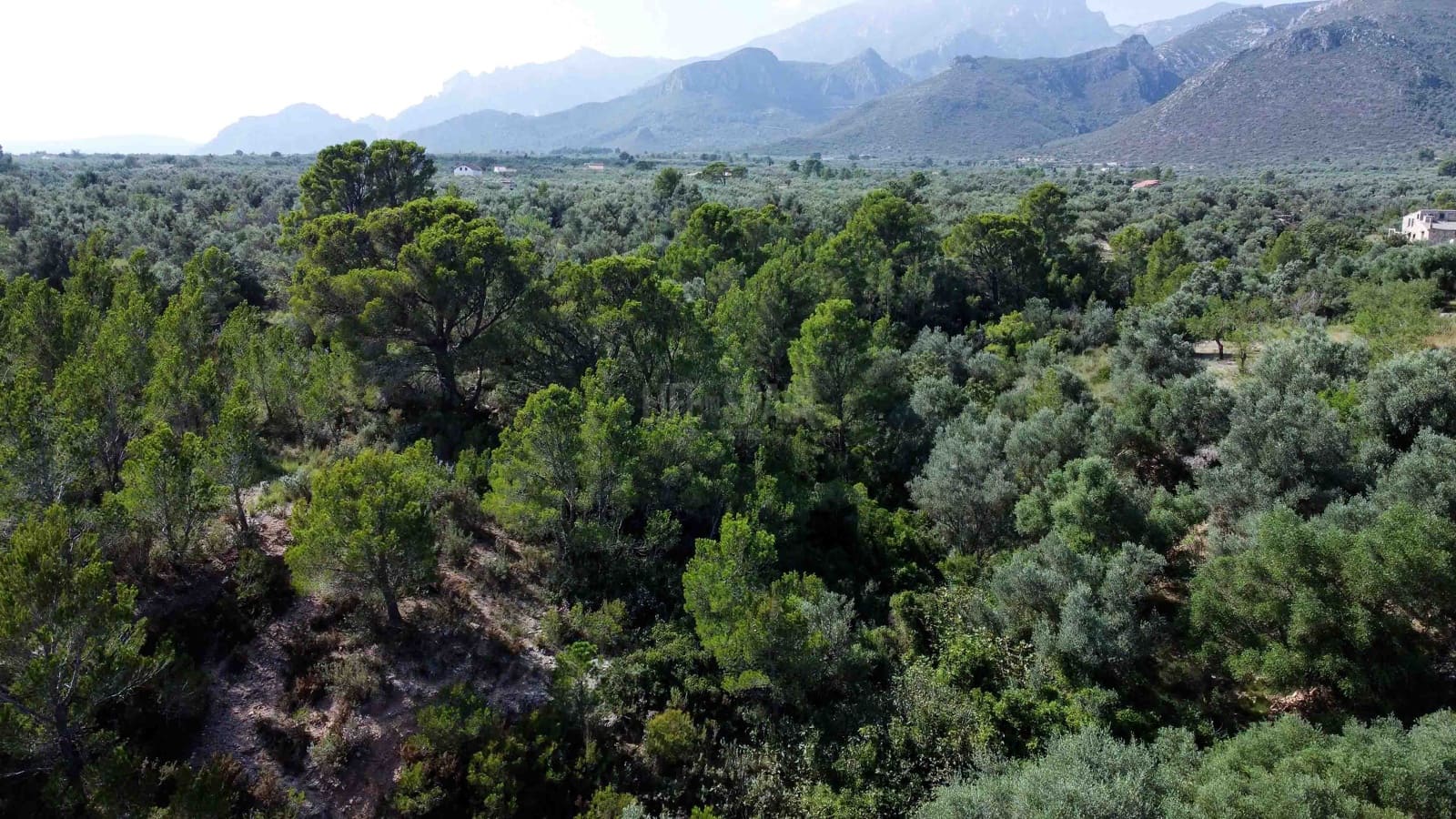 1 soveværelse Finca/Landehus til salg i Tortosa - € 81.000 (Ref: 7839686)