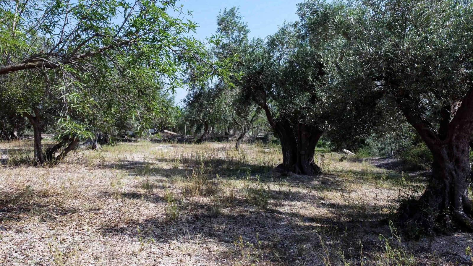 1 soveværelse Finca/Landehus til salg i Tortosa - € 81.000 (Ref: 7839686)