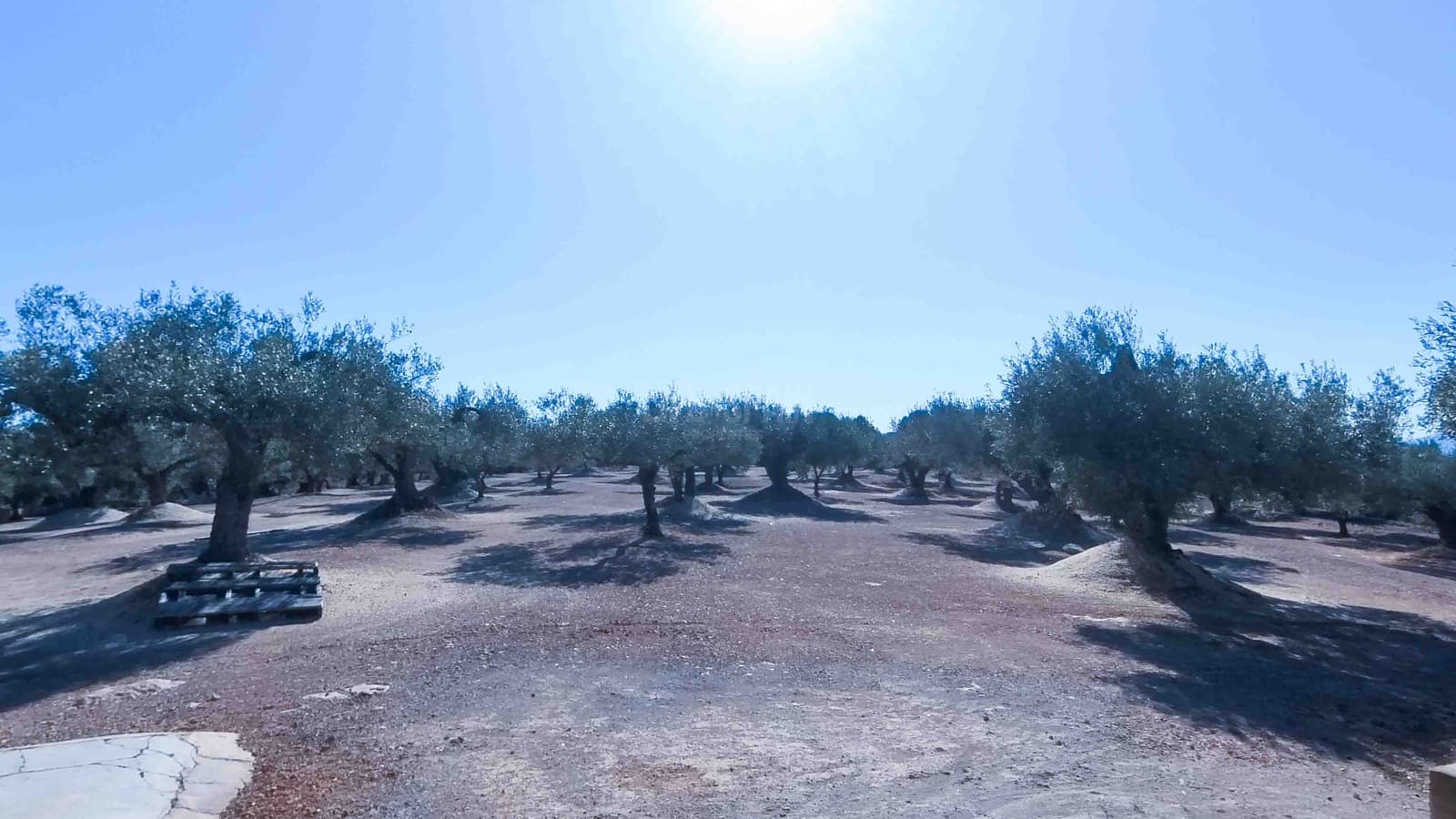 4 soveværelse Finca/Landehus til salg i Camarles - € 280.000 (Ref: 7889490)