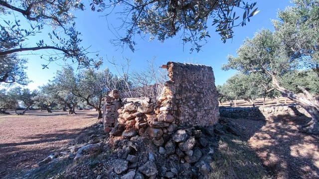 Ruin for sale in Roquetes - € 32,000 (Ref: 8045702)