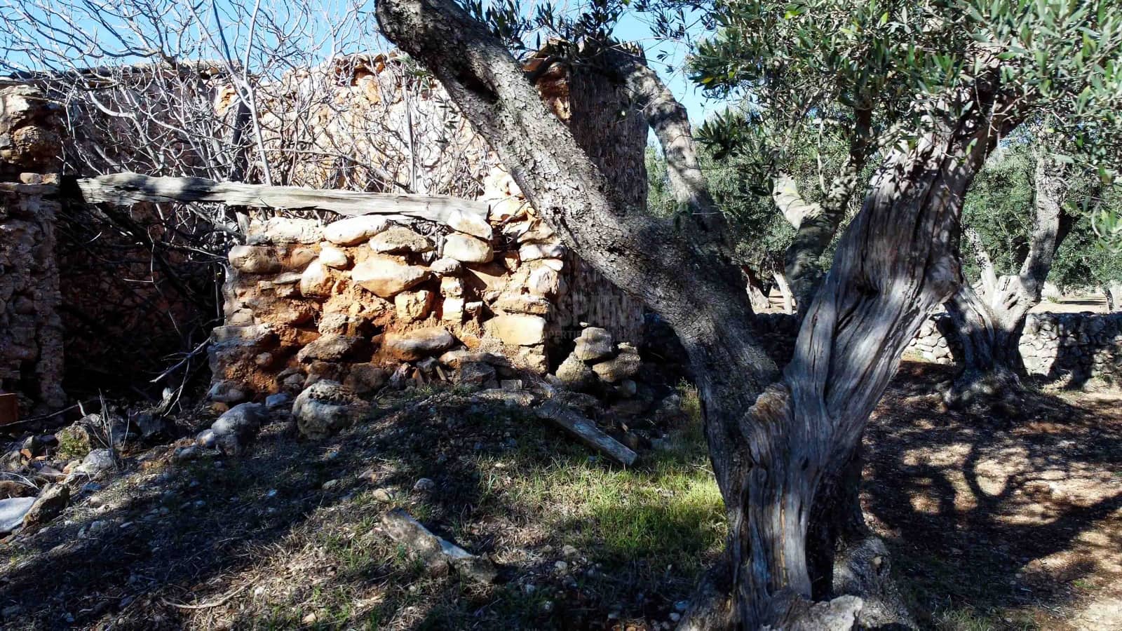 Ruin til salgs i Roquetes - € 32 000 (Ref: 8045702)