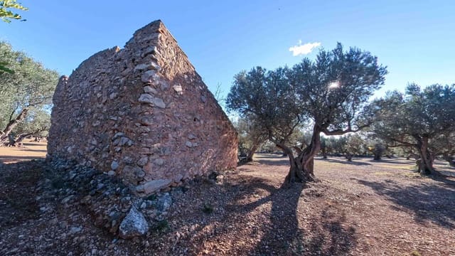 Ruin for sale in Roquetes - € 32,000 (Ref: 8045702)