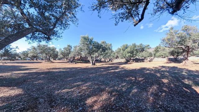 Ruin for sale in Roquetes - € 32,000 (Ref: 8045702)