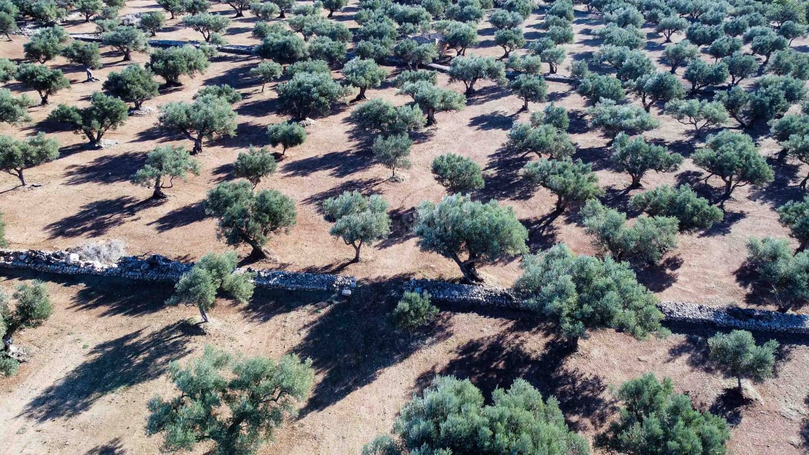 Ruin til salgs i Roquetes - € 32 000 (Ref: 8045702)