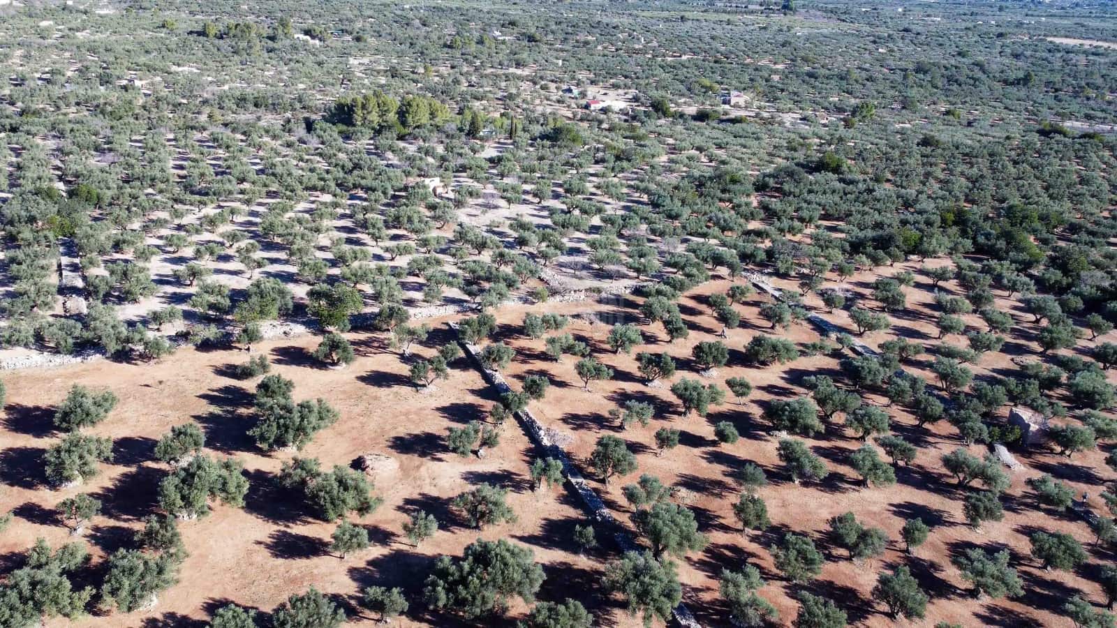 Ruin til salgs i Roquetes - € 32 000 (Ref: 8045702)