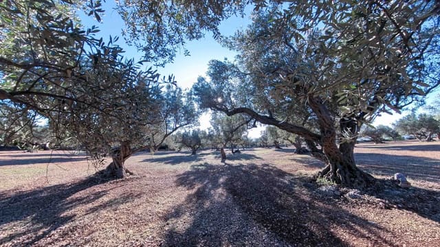 Ruin for sale in Roquetes - € 32,000 (Ref: 8045702)