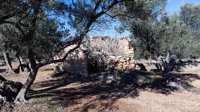 Ruin for sale in Roquetes - € 32,000 (Ref: 8045702)