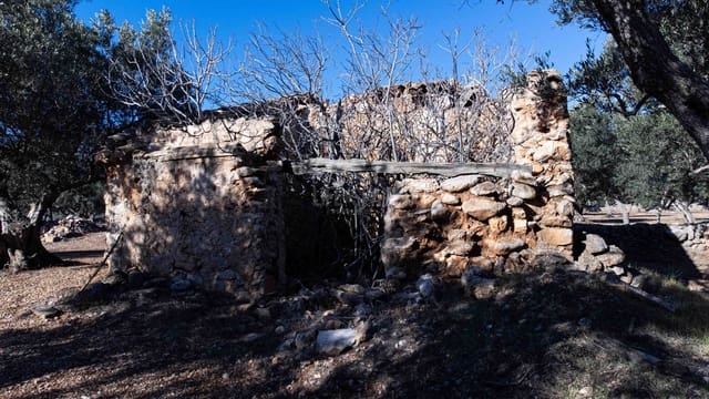 Ruin for sale in Roquetes - € 32,000 (Ref: 8045702)