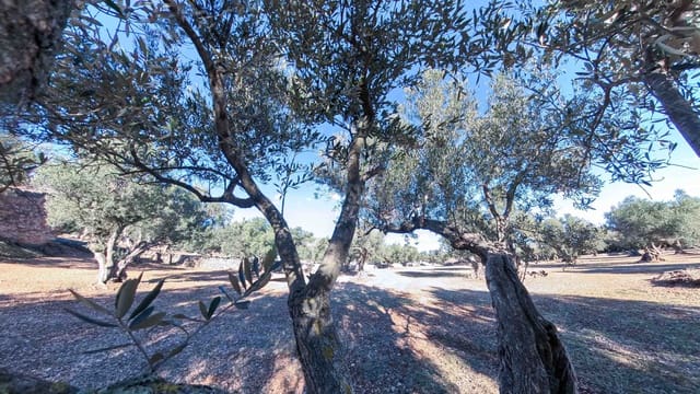 Ruin for sale in Roquetes - € 32,000 (Ref: 8045702)