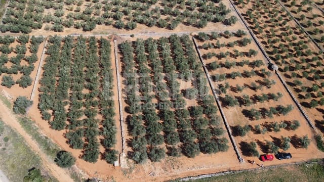 Finca/Landhuis te koop in Freginals - € 15.000 (Ref: 8164916)