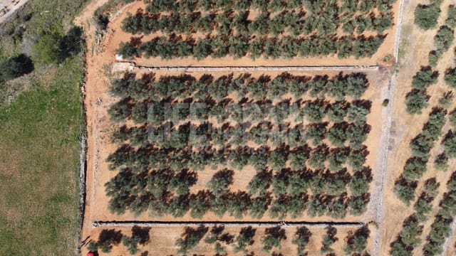 Finca/Landhuis te koop in Freginals - € 15.000 (Ref: 8164916)