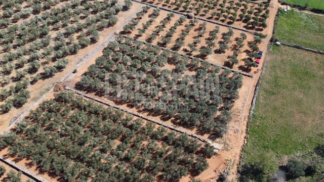 Finca/Landhuis te koop in Freginals - € 15.000 (Ref: 8164916)