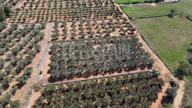 Finca/Landhuis te koop in Freginals - € 15.000 (Ref: 8164916)