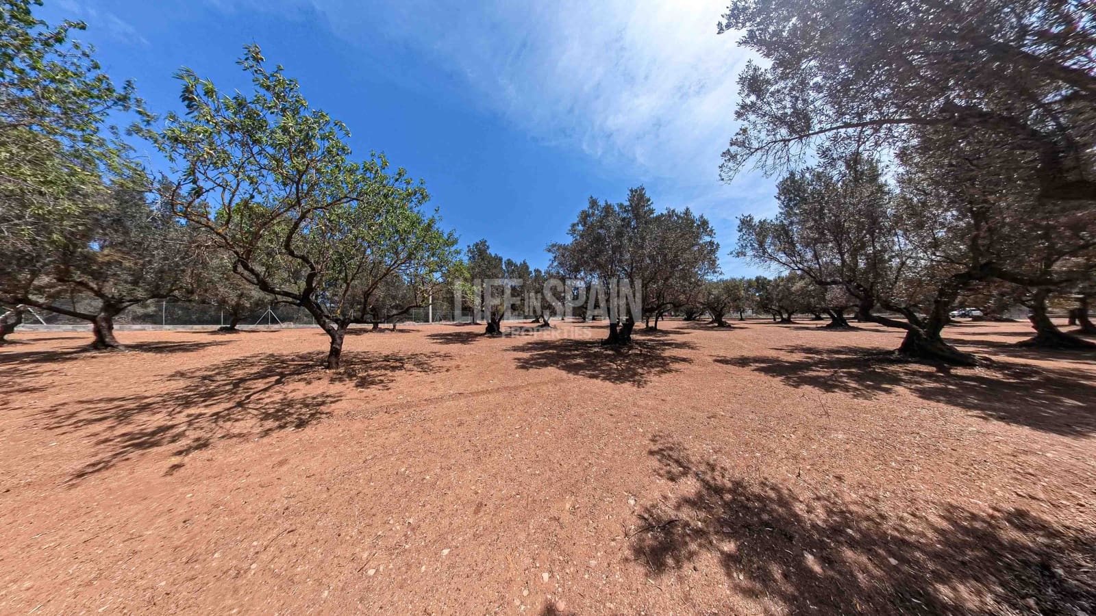 2 soveværelse Finca/Landehus til salg i Aldover med swimmingpool - € 82.000 (Ref: 8311795)