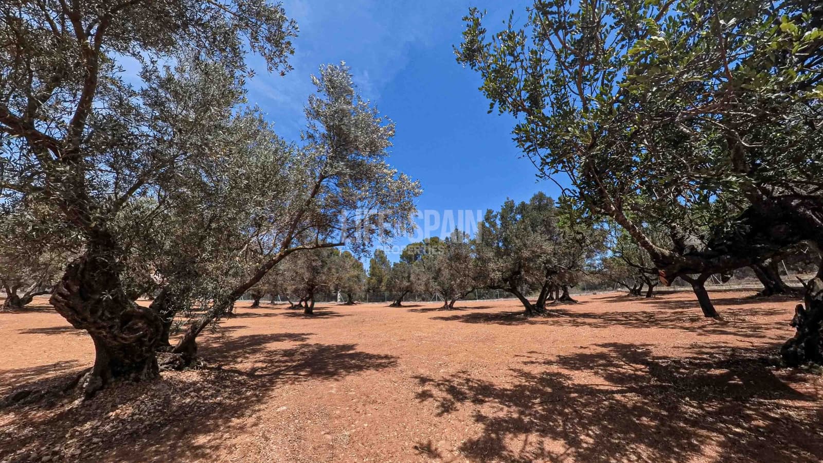 2 soveværelse Finca/Landehus til salg i Aldover med swimmingpool - € 82.000 (Ref: 8311795)