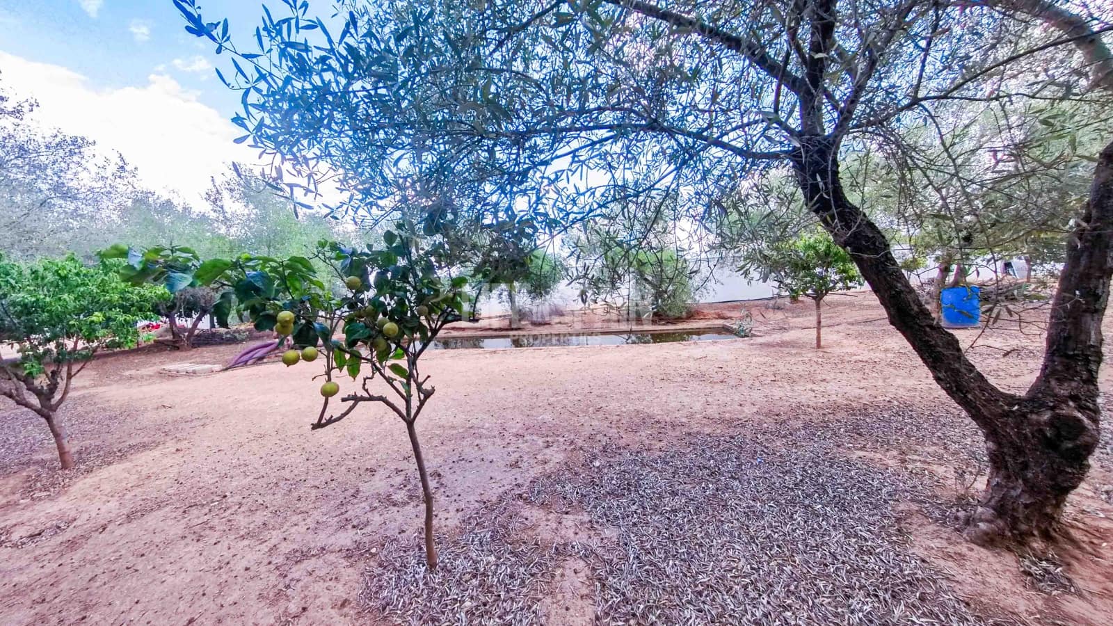 3 soveværelse Villa til salg i Masdenverge med swimmingpool garage - € 580.000 (Ref: 8311898)