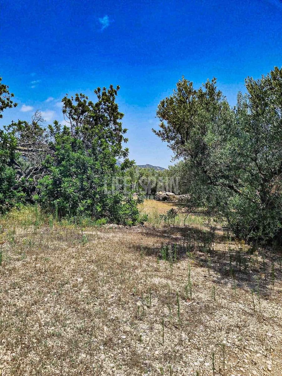 Ruína para venda em Roquetes - 40 000 € (Ref: 8473239)