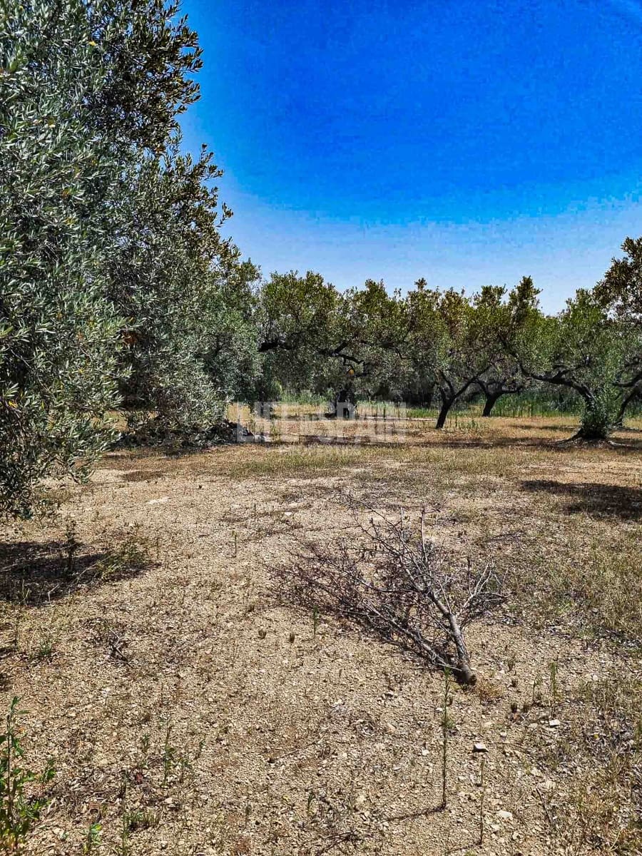 Ruína para venda em Roquetes - 40 000 € (Ref: 8473239)