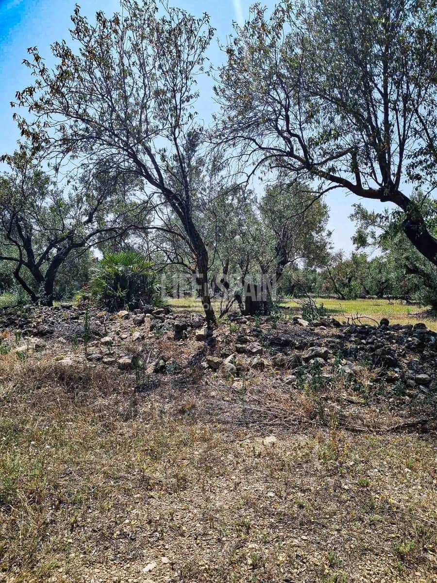 Ruína para venda em Roquetes - 40 000 € (Ref: 8473239)