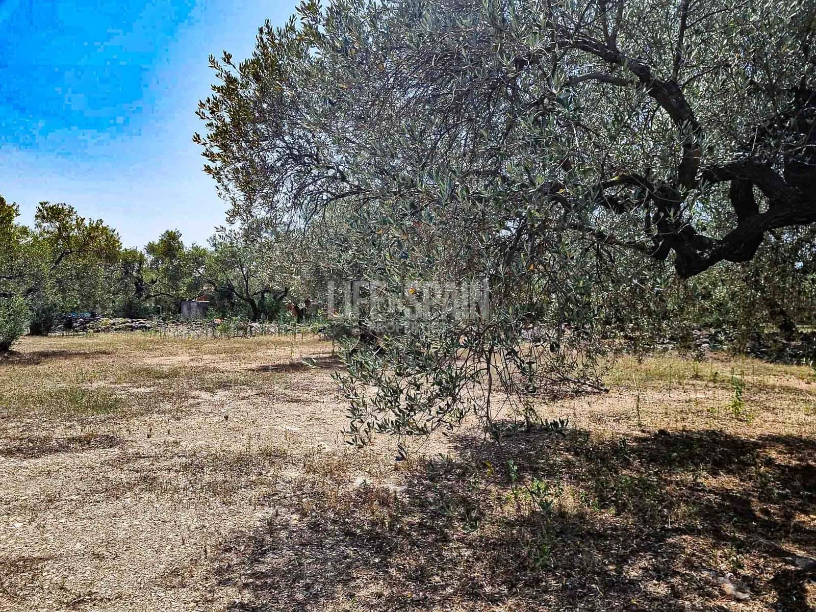 Ruína para venda em Roquetes - 40 000 € (Ref: 8473239)