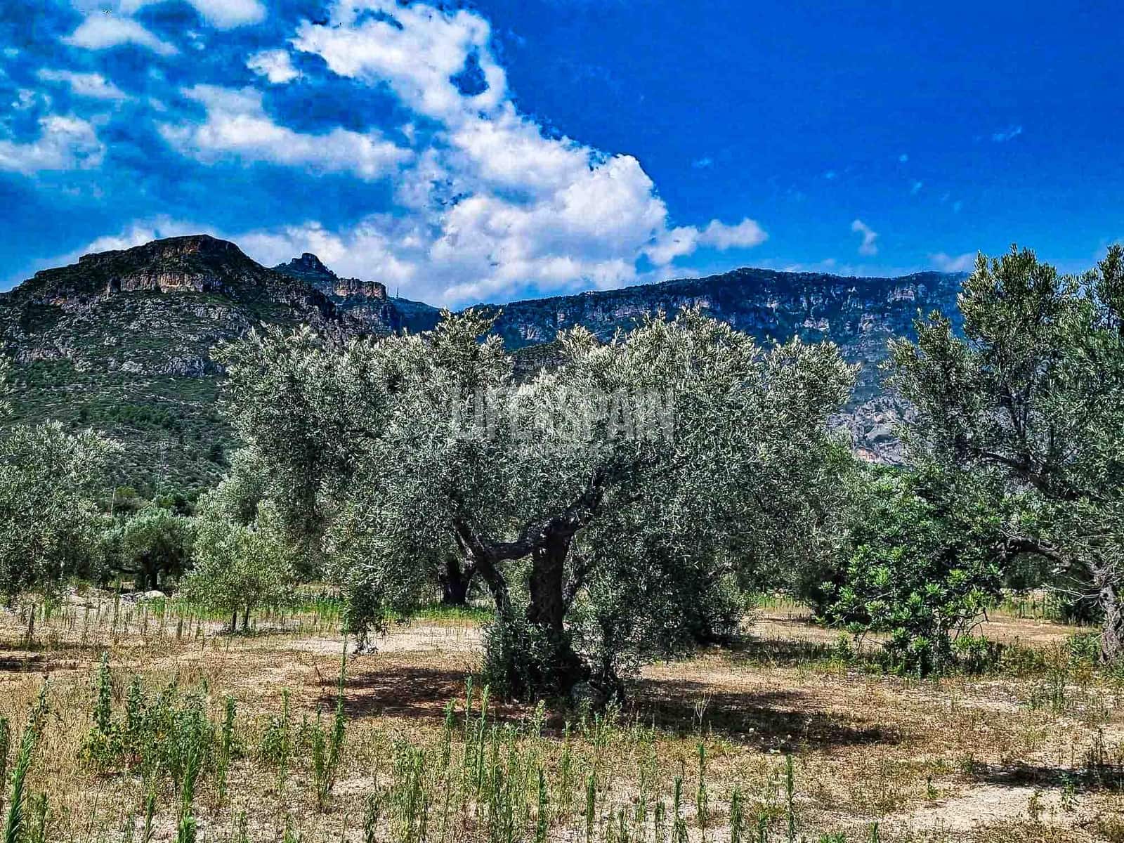 Ruína para venda em Roquetes - 40 000 € (Ref: 8473239)