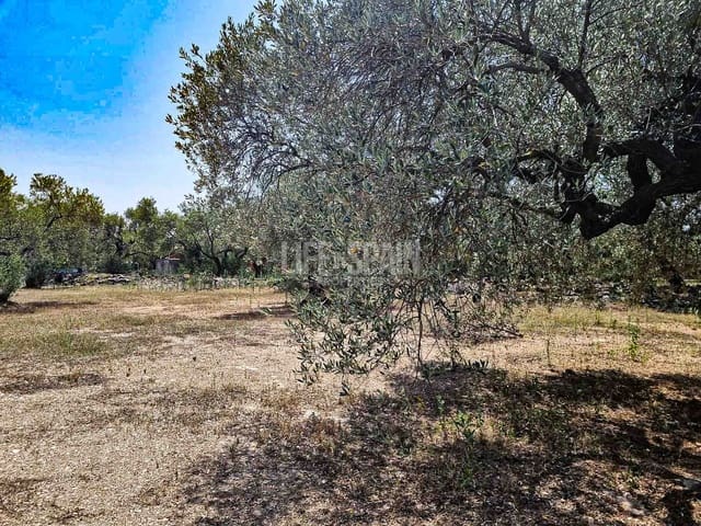 Ruin for sale in Roquetes - € 40,000 (Ref: 8473239)