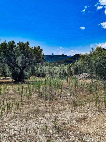 Ruin for sale in Roquetes - € 40,000 (Ref: 8473239)