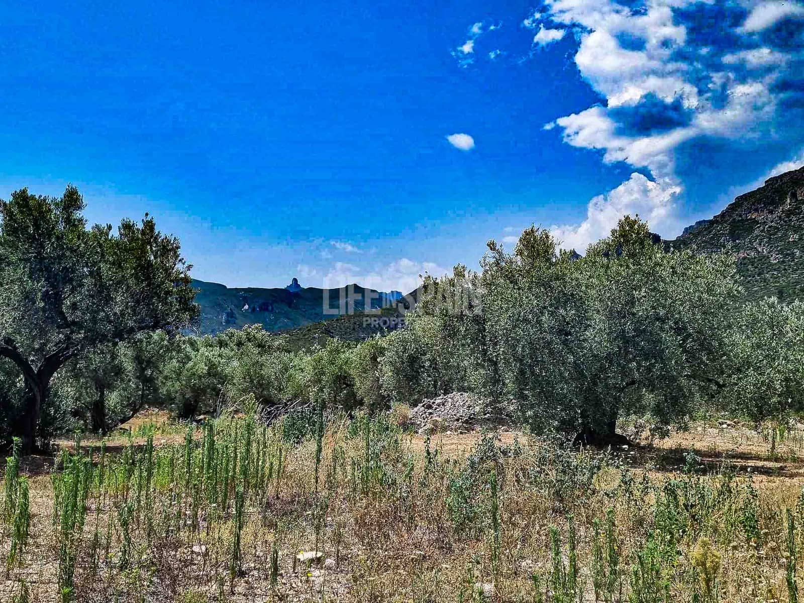 Ruína para venda em Roquetes - 40 000 € (Ref: 8473239)