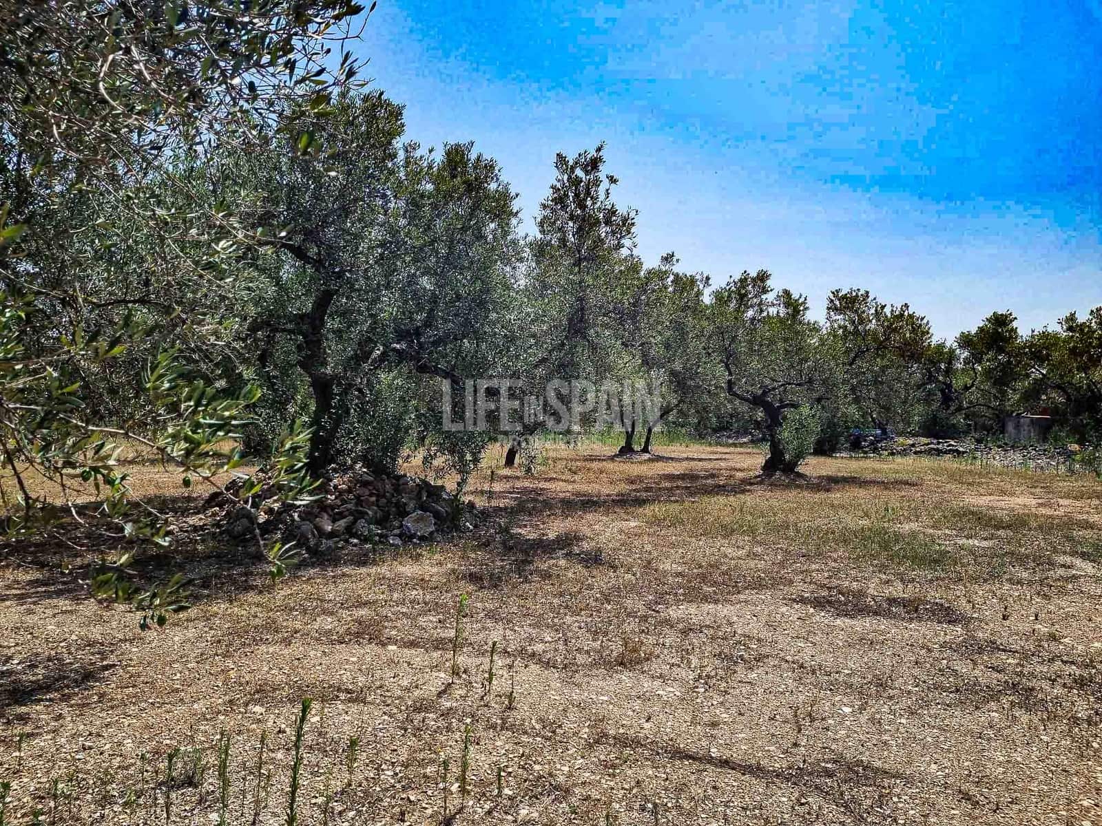 Ruína para venda em Roquetes - 40 000 € (Ref: 8473239)