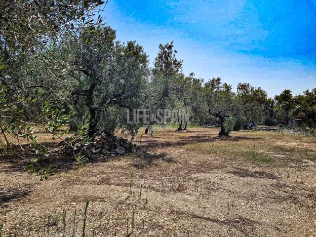 Ruin for sale in Roquetes - € 40,000 (Ref: 8473239)