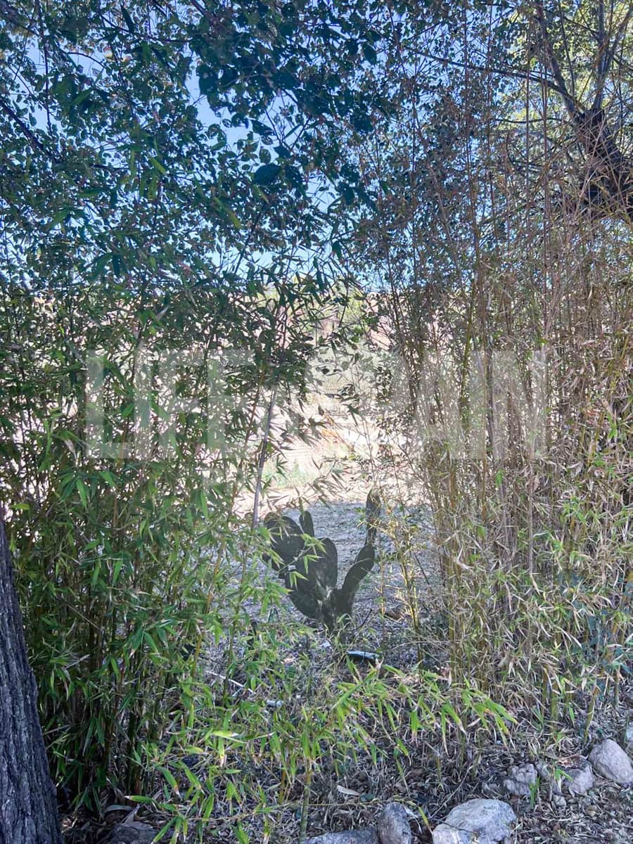 3 soveværelse Finca/Landehus til salg i Mora la Nova med swimmingpool - € 215.000 (Ref: 8506808)