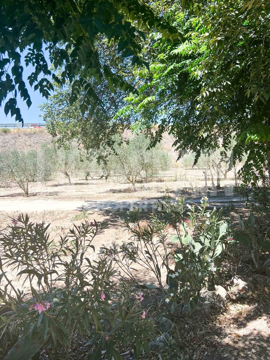 3 soveværelse Finca/Landehus til salg i Mora la Nova med swimmingpool - € 215.000 (Ref: 8506808)