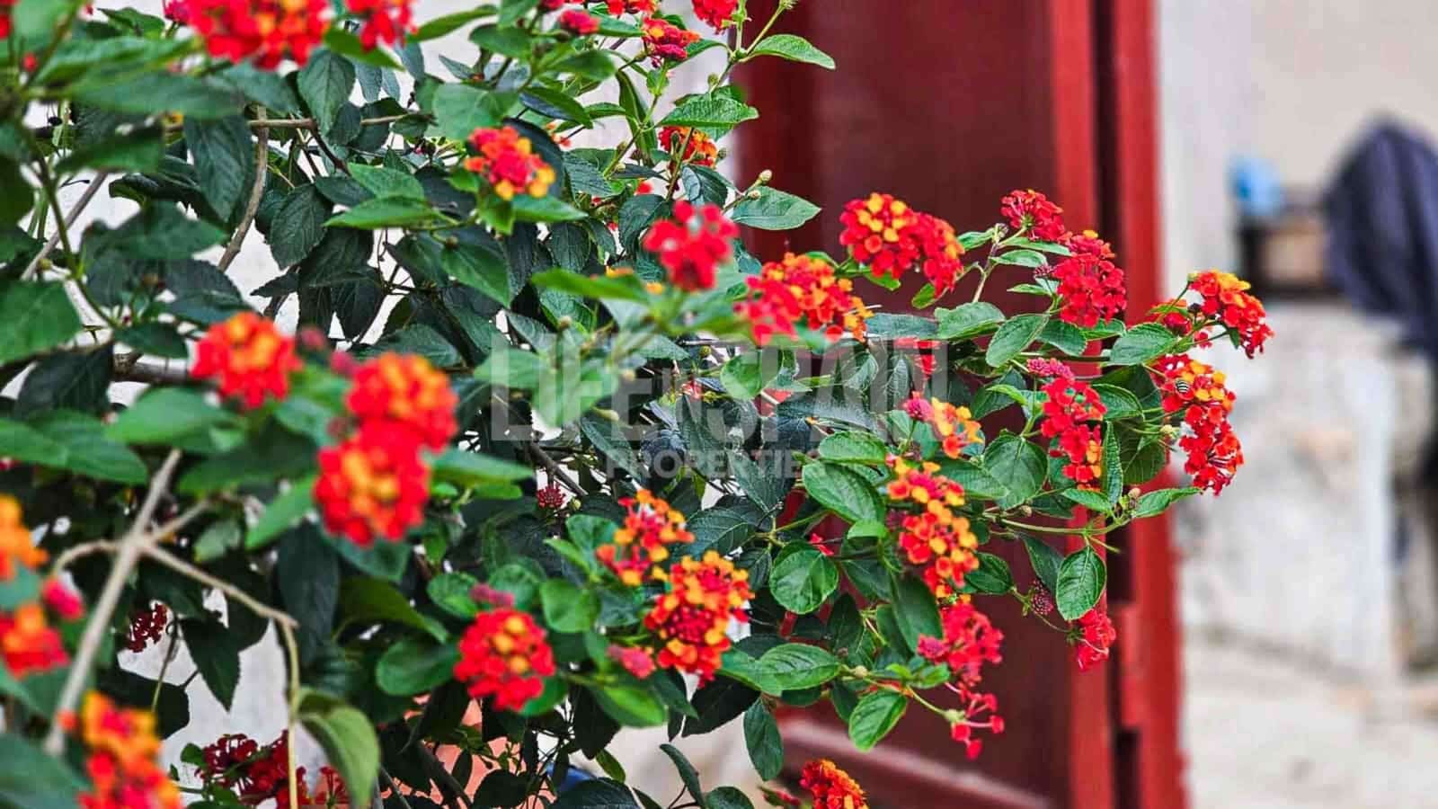 2 soveværelse Finca/Landehus til salg i Tortosa med garage - € 160.000 (Ref: 8546046)