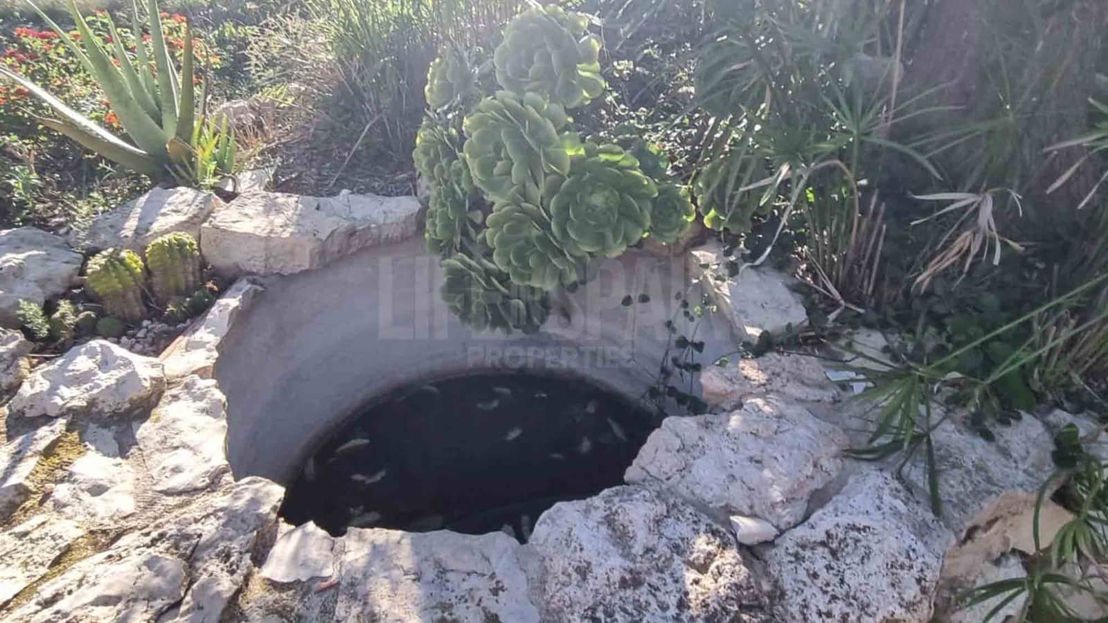 3 soveværelse Finca/Landehus til salg i El Perello med swimmingpool - € 295.000 (Ref: 8567597)