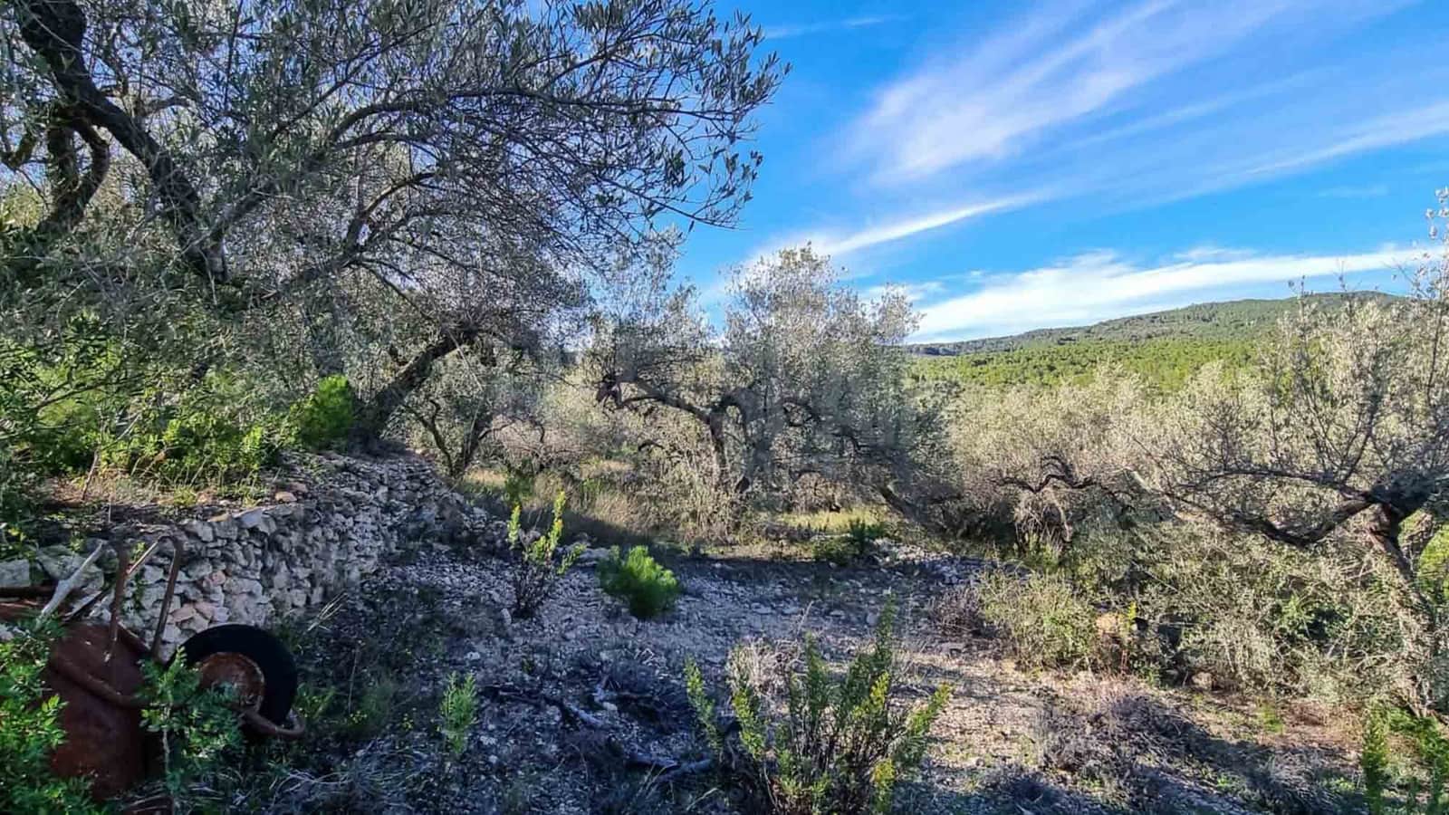 3 soveværelse Finca/Landehus til salg i El Perello med swimmingpool - € 295.000 (Ref: 8567597)