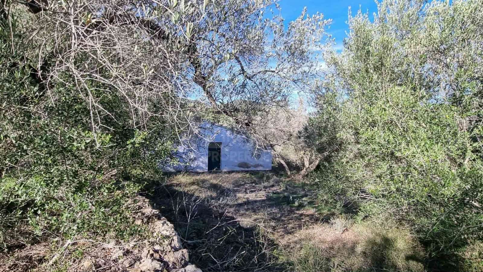 3 soveværelse Finca/Landehus til salg i El Perello med swimmingpool - € 295.000 (Ref: 8567597)