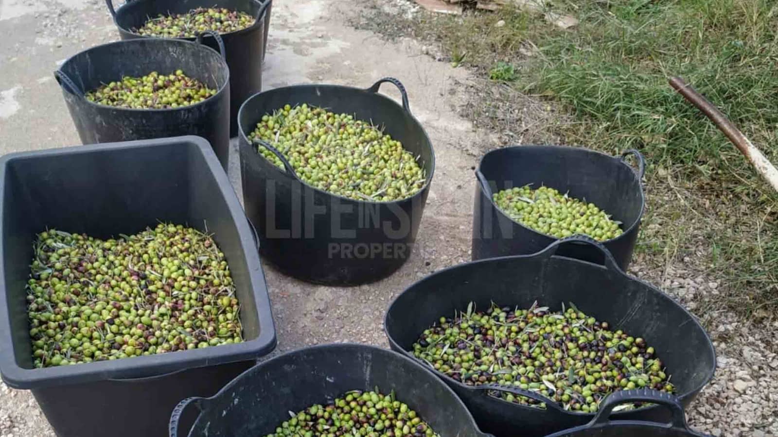 3 soveværelse Finca/Landehus til salg i El Perello med swimmingpool - € 295.000 (Ref: 8567597)