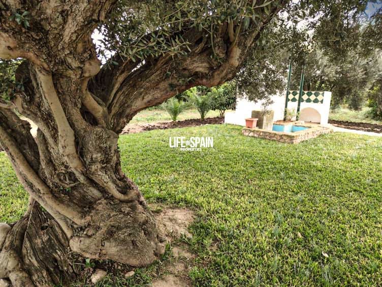 6 soverom Finca/Herregård til salgs i Vinallop - € 325 000 (Ref: 8776766)