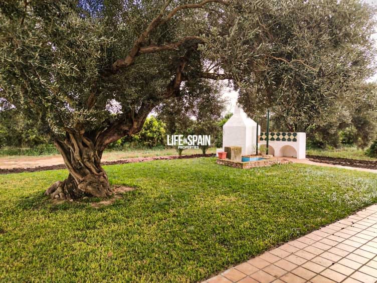 6 soverom Finca/Herregård til salgs i Vinallop - € 325 000 (Ref: 8776766)