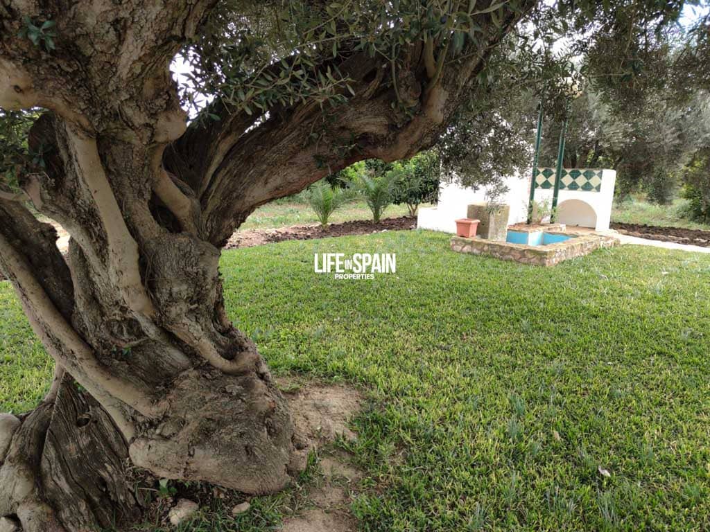 6 soverom Finca/Herregård til salgs i Vinallop - € 325 000 (Ref: 8776766)