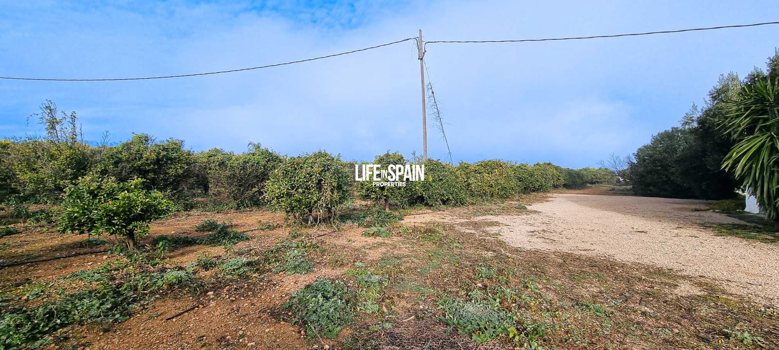 6 soverom Finca/Herregård til salgs i Vinallop - € 325 000 (Ref: 8776766)