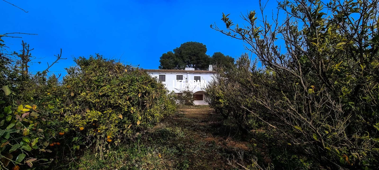 6 soverom Finca/Herregård til salgs i Vinallop - € 325 000 (Ref: 8776766)