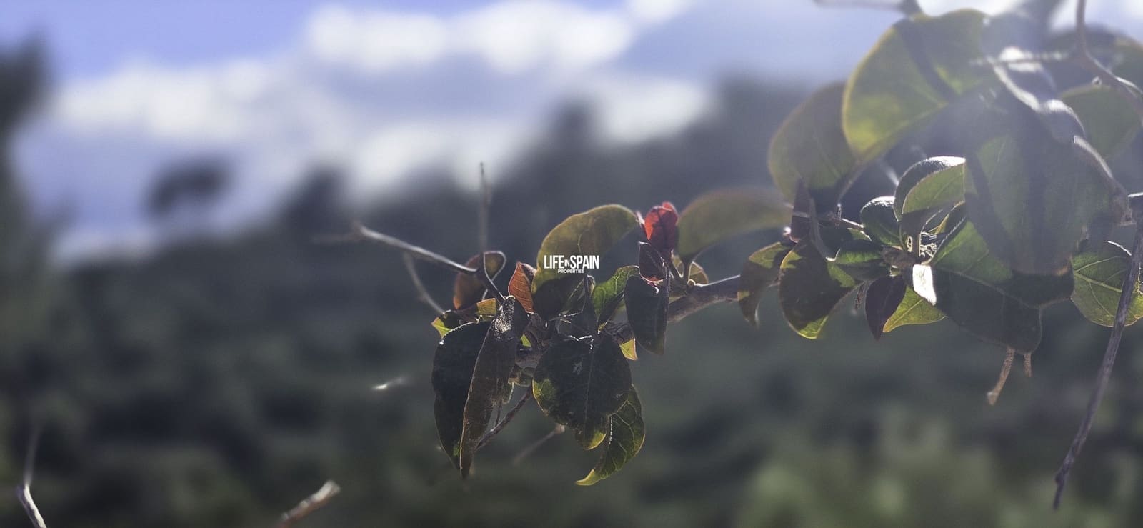 2 soverom Finca/Herregård til salgs i Tortosa med garasje - € 145 000 (Ref: 8885585)