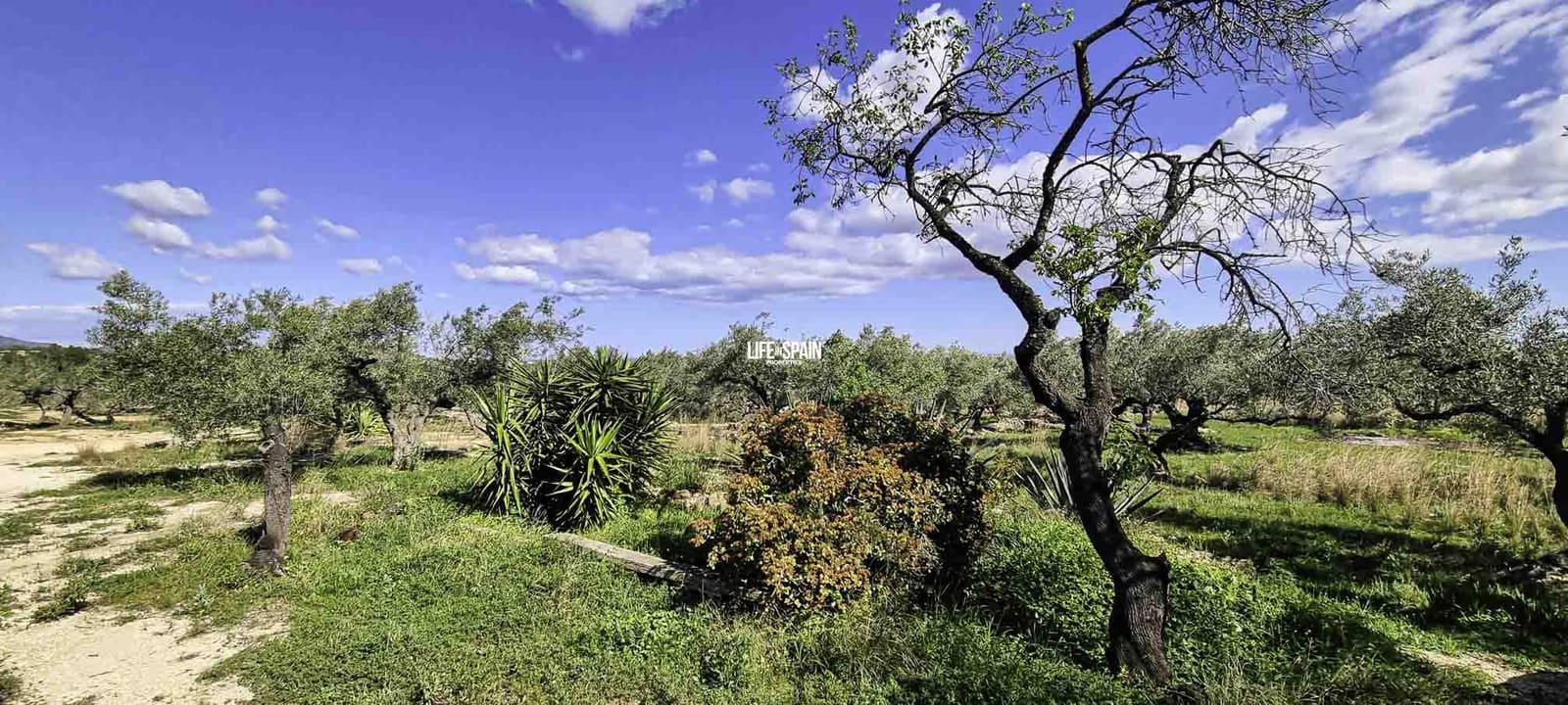 2 soverom Finca/Herregård til salgs i Tortosa med garasje - € 145 000 (Ref: 8885585)