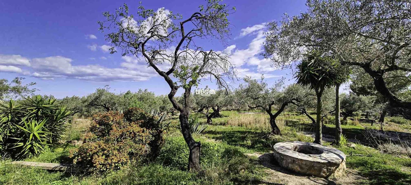 2 soverom Finca/Herregård til salgs i Tortosa med garasje - € 145 000 (Ref: 8885585)