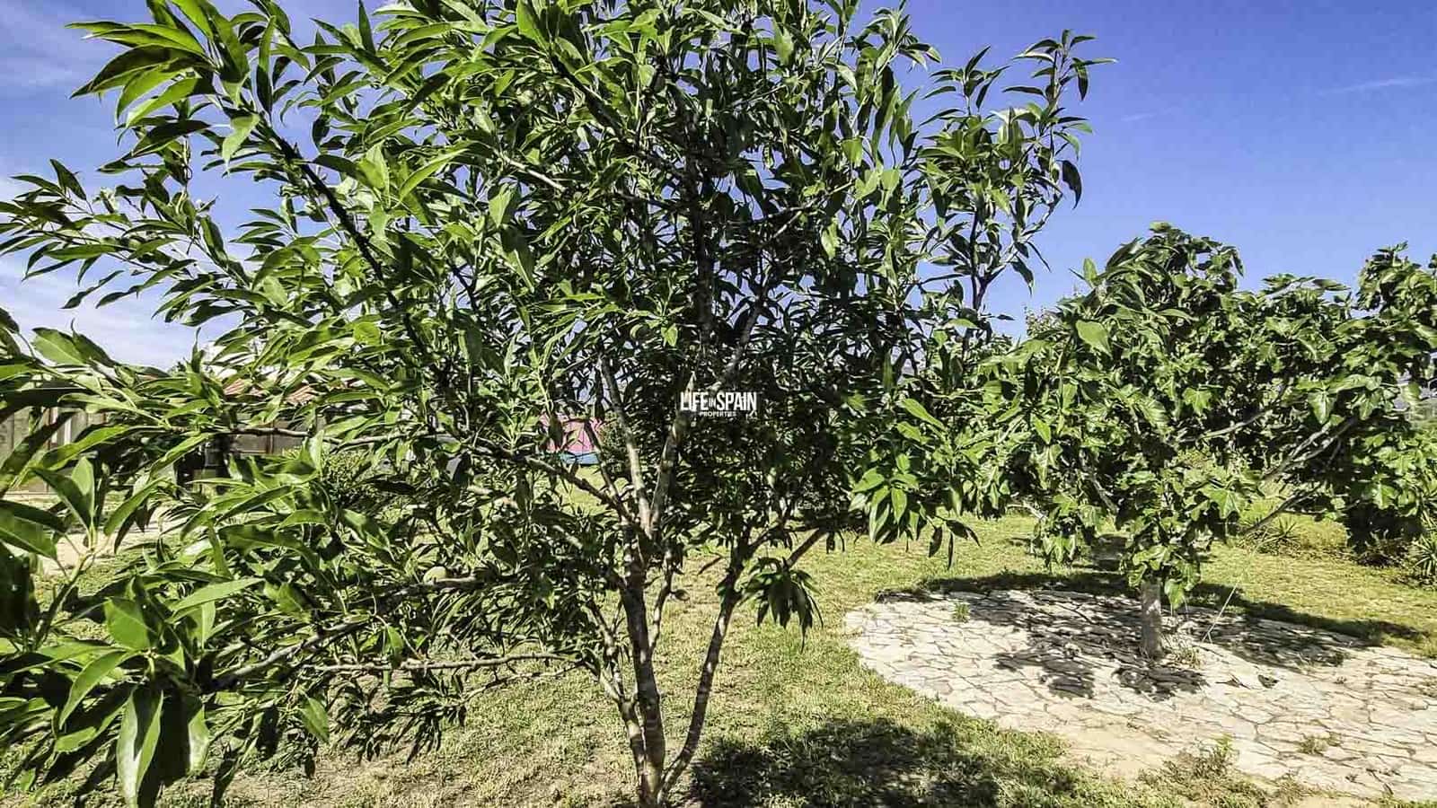 1 soveværelse Finca/Landehus til salg i Xerta - € 138.998 (Ref: 9004242)